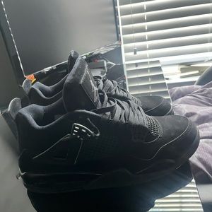 black cats